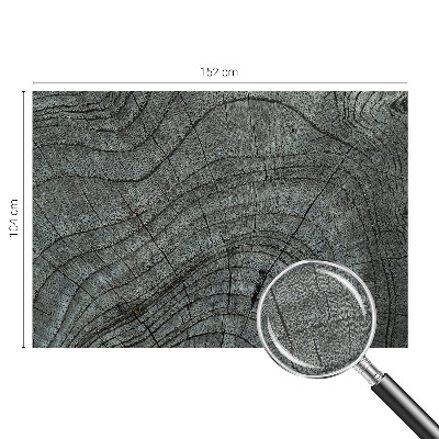 Nowoczesna fototapeta do salonu Słojowy wzór