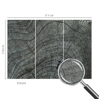 Nowoczesna fototapeta do salonu Słojowy wzór