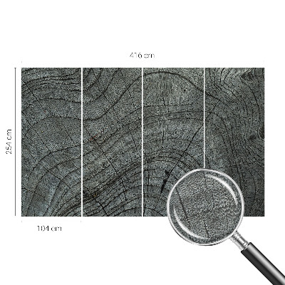 Nowoczesna fototapeta do salonu Słojowy wzór