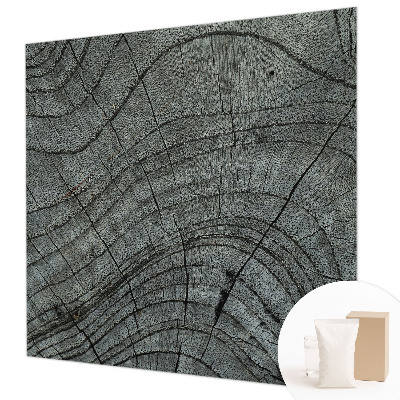 Nowoczesna fototapeta do salonu Słojowy wzór