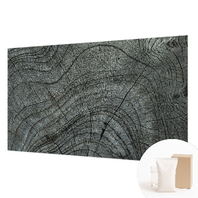 Nowoczesna fototapeta do salonu Słojowy wzór