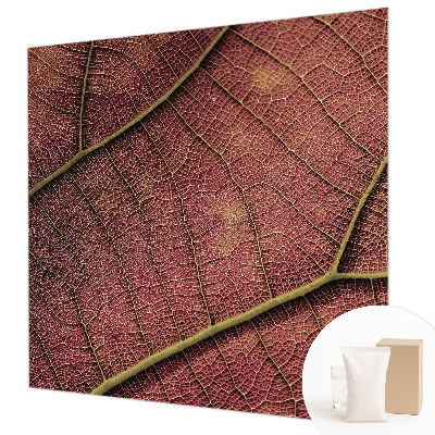 Dekoracyjna fototapeta na ścianę Liściasta tekstura