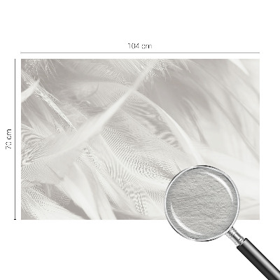 Dekoracyjna fototapeta na ścianę Subtelne pióra