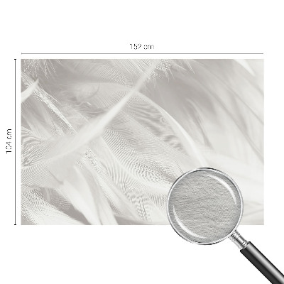 Dekoracyjna fototapeta na ścianę Subtelne pióra