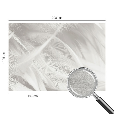 Dekoracyjna fototapeta na ścianę Subtelne pióra