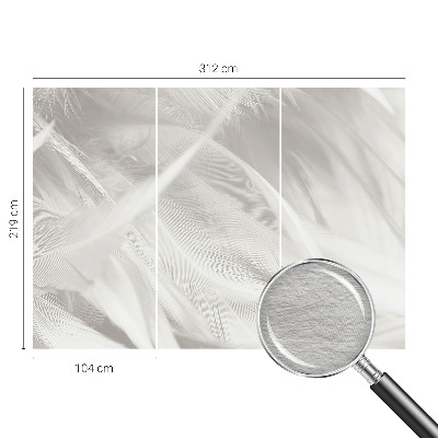 Dekoracyjna fototapeta na ścianę Subtelne pióra