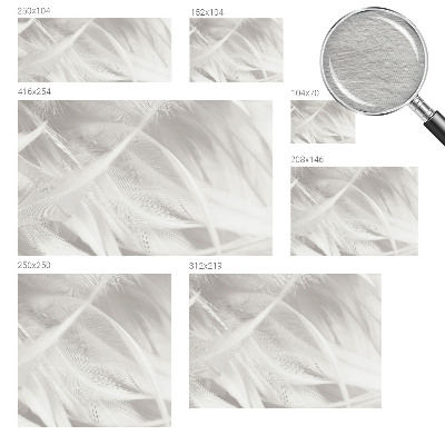 Dekoracyjna fototapeta na ścianę Subtelne pióra