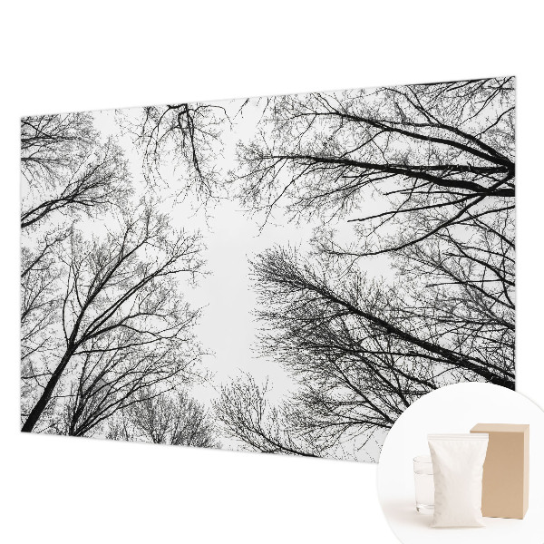 Nowoczesna fototapeta do salonu Nagie gałęzie