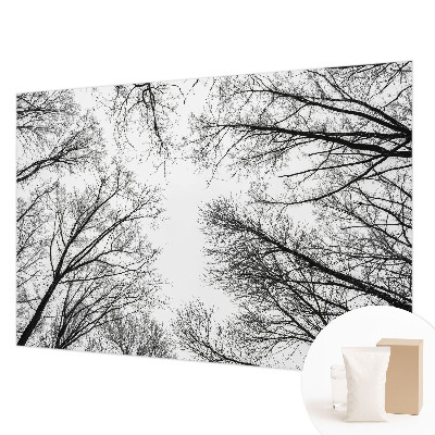 Nowoczesna fototapeta do salonu Nowoczesna fototapeta do salonu Nagie gałęzie