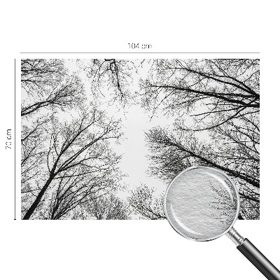 Nowoczesna fototapeta do salonu Nagie gałęzie