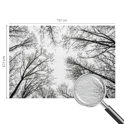 Nowoczesna fototapeta do salonu Nagie gałęzie