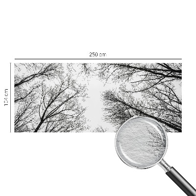 Nowoczesna fototapeta do salonu Nagie gałęzie