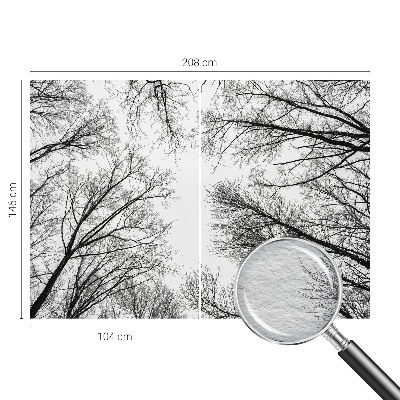 Nowoczesna fototapeta do salonu Nagie gałęzie