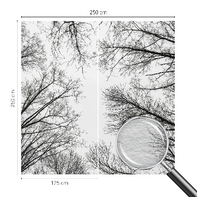 Nowoczesna fototapeta do salonu Nagie gałęzie