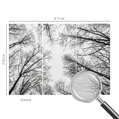 Nowoczesna fototapeta do salonu Nagie gałęzie