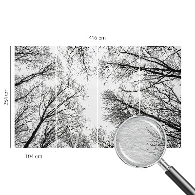 Nowoczesna fototapeta do salonu Nagie gałęzie