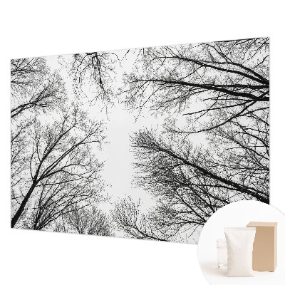 Nowoczesna fototapeta do salonu Nagie gałęzie