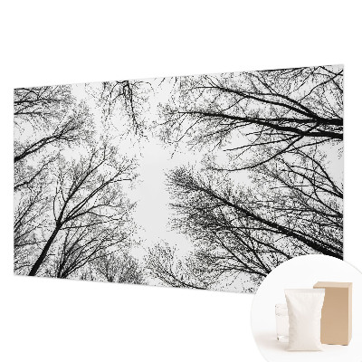 Nowoczesna fototapeta do salonu Nagie gałęzie