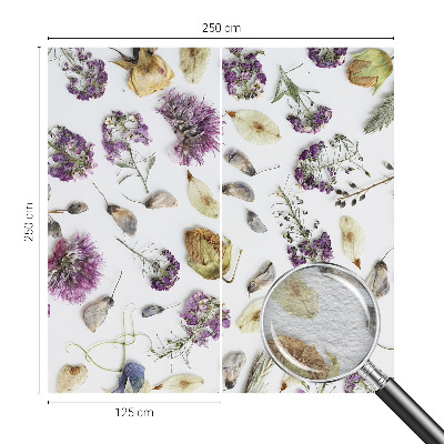 Fototapeta na ścianę Kwiaty suszone