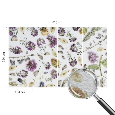 Fototapeta na ścianę Kwiaty suszone