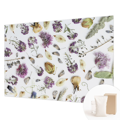 Fototapeta na ścianę Kwiaty suszone