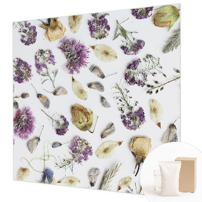 Fototapeta na ścianę Kwiaty suszone