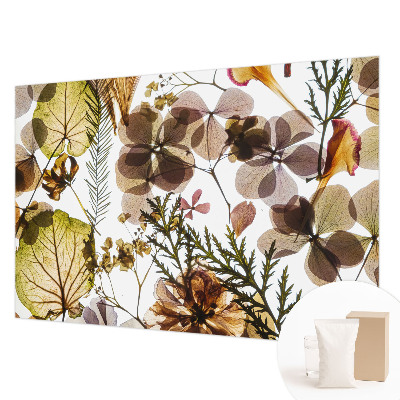 Dekoracyjna fototapeta na ścianę z motywem naturalnej kompozycji