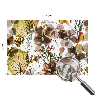 Dekoracyjna fototapeta na ścianę Naturalna kompozycja