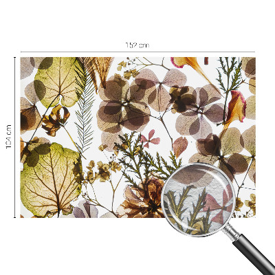 Dekoracyjna fototapeta na ścianę z motywem naturalnej kompozycji