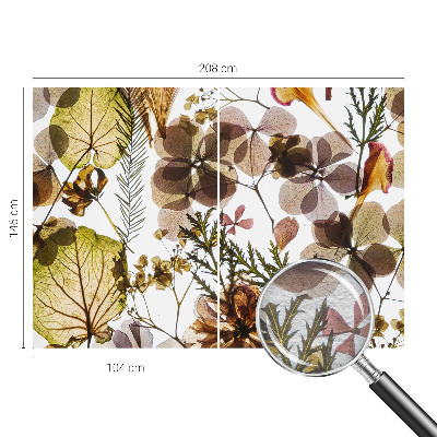 Dekoracyjna fototapeta na ścianę Naturalna kompozycja