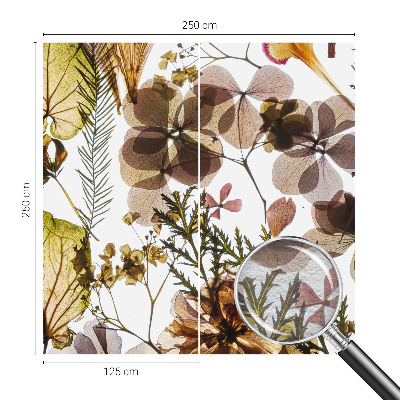 Dekoracyjna fototapeta na ścianę z motywem naturalnej kompozycji