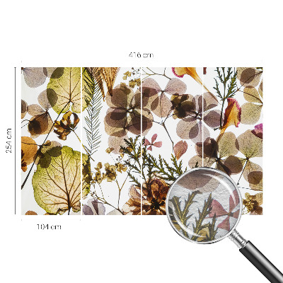 Dekoracyjna fototapeta na ścianę z motywem naturalnej kompozycji