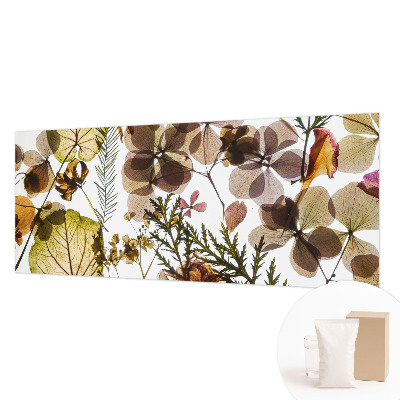 Dekoracyjna fototapeta na ścianę Naturalna kompozycja