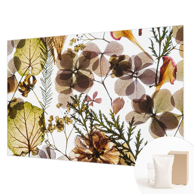 Dekoracyjna fototapeta na ścianę Naturalna kompozycja