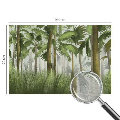 Dekoracyjna fototapeta na ścianę Tropikalny las