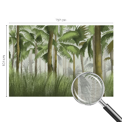 Dekoracyjna fototapeta na ścianę Tropikalny las