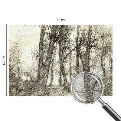 Fototapeta na ścianę z motywem leśnej melancholii