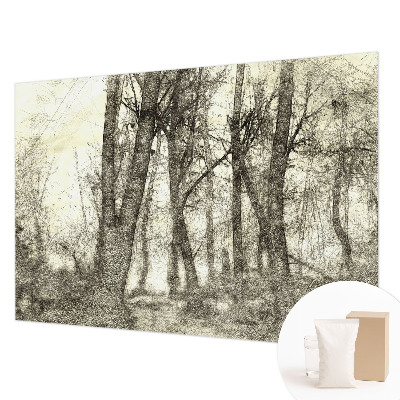 Fototapeta na ścianę z motywem leśnej melancholii