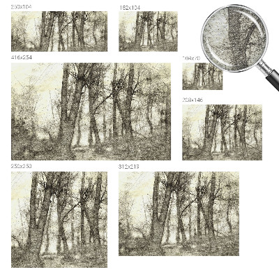 Fototapeta na ścianę z motywem leśnej melancholii