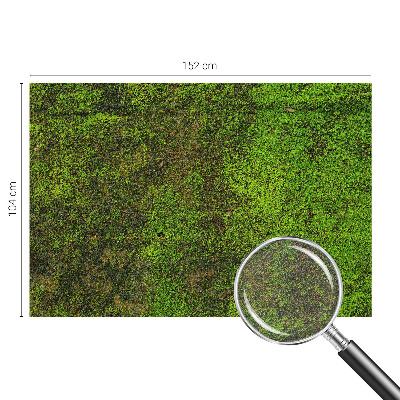 Dekoracyjna fototapeta na ścianę Dekoracyjna fototapeta na ścianę Zielony dywan