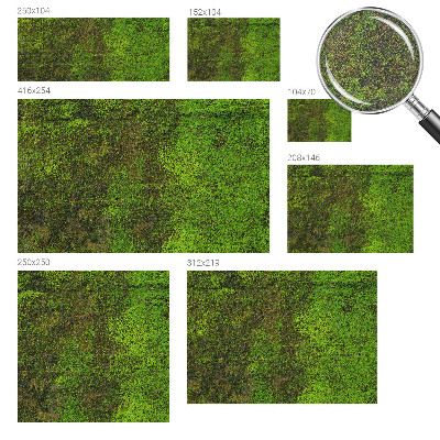 Dekoracyjna fototapeta na ścianę Dekoracyjna fototapeta na ścianę Zielony dywan