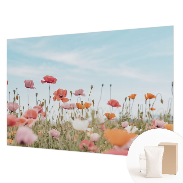 Nowoczesna fototapeta do salonu Kwiaty maku