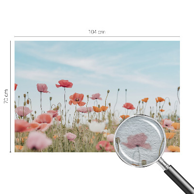 Nowoczesna fototapeta do salonu Kwiaty maku