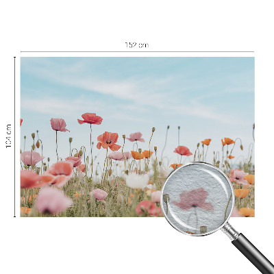 Nowoczesna fototapeta do salonu Kwiaty maku