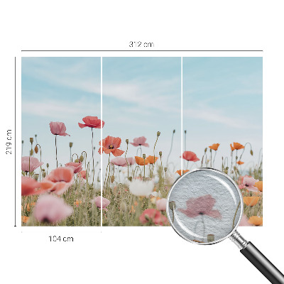 Nowoczesna fototapeta do salonu Kwiaty maku