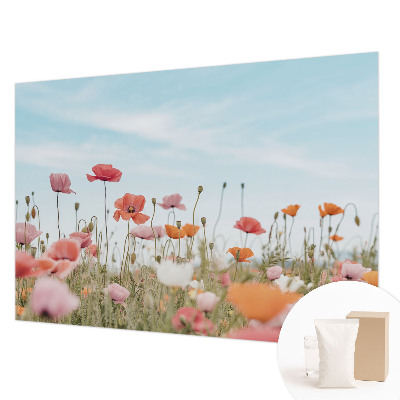 Nowoczesna fototapeta do salonu Kwiaty maku