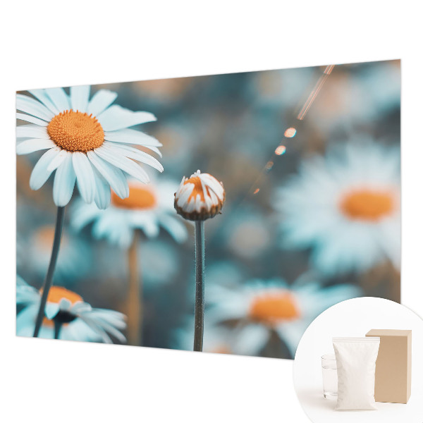 Tapeta fotograficzna z motywem delikatnych rumianków