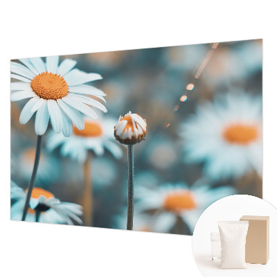 Tapeta fotograficzna Rumiankowa delikatność