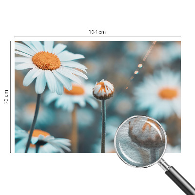 Tapeta fotograficzna z motywem delikatnych rumianków