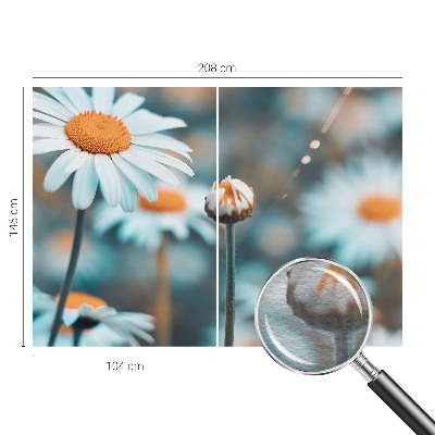 Tapeta fotograficzna z motywem delikatnych rumianków